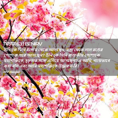Picture 02 - যিচয়া 63:1 BENIRV - উনি কে যিনি ইদোম - Bible Verse Picture