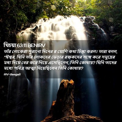 Picture 02 - যিচয়া 63:11 BENIRV - তাঁর লোকেরা - Bible Verse Picture