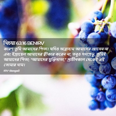 Picture 02 - যিচয়া 63:16 BENIRV - কারণ তুমি আমাদের - Bible Verse Picture