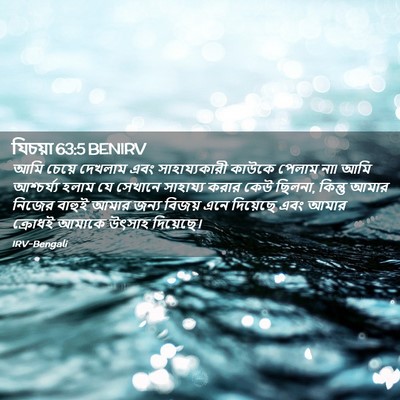 Picture 02 - যিচয়া 63:5 BENIRV - আমি চেয়ে দেখলাম - Bible Verse Picture