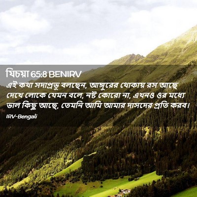Picture 02 - যিচয়া 65:8 BENIRV - এই কথা সদাপ্রভু - Bible Verse Picture