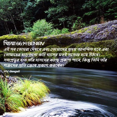 Picture 02 - যিচয়া 66:14 BENIRV - এই সব তোমরা দেখবে - Bible Verse Picture