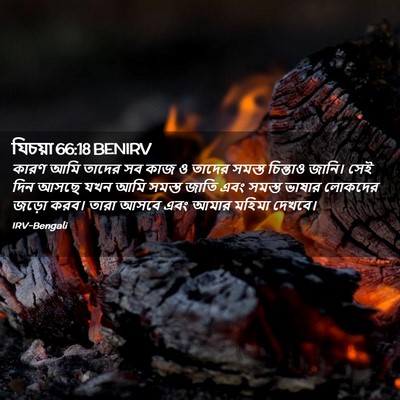 Picture 02 - যিচয়া 66:18 BENIRV - কারণ আমি তাদের সব - Bible Verse Picture