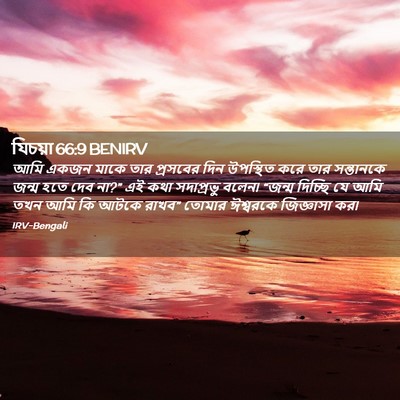 Picture 02 - যিচয়া 66:9 BENIRV - আমি একজন মাকে তার - Bible Verse Picture