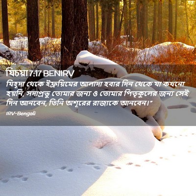 Picture 02 - যিচয়া 7:17 BENIRV - যিহূদা থেকে - Bible Verse Picture