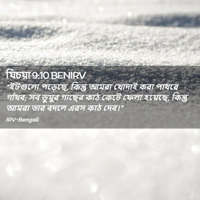 Picture 02 - যিচয়া 9:10 BENIRV - “ইটগুলো পড়েছে, - Bible Verse Picture