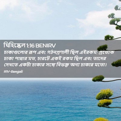 Picture 02 - যিহিষ্কেল 1:16 BENIRV - চাকাগুলোর রূপ এবং - Bible Verse Picture