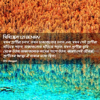 Picture 02 - যিহিষ্কেল 1:21 BENIRV - যখন প্রাণীরা চলত, - Bible Verse Picture