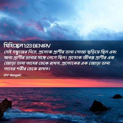 Picture 02 - যিহিষ্কেল 1:23 BENIRV - সেই গম্বুজের নিচে, - Bible Verse Picture