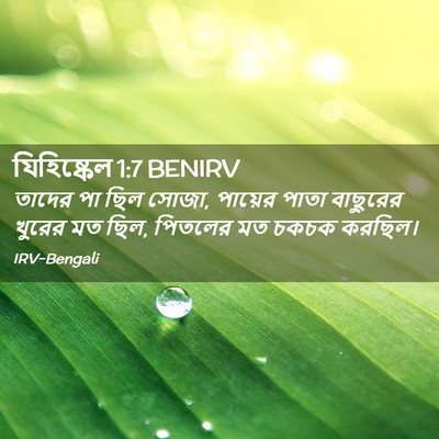 Picture 02 - যিহিষ্কেল 1:7 BENIRV - তাদের পা ছিল সোজা, - Bible Verse Picture