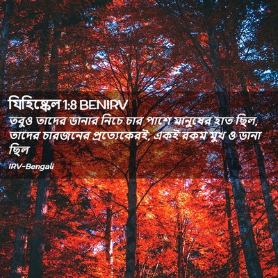 Picture 02 - যিহিষ্কেল 1:8 BENIRV - তবুও তাদের ডানার - Bible Verse Picture