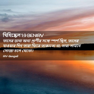 Picture 02 - যিহিষ্কেল 1:9 BENIRV - তাদের ডানা অন্য - Bible Verse Picture
