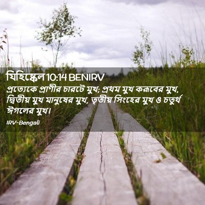 Picture 02 - যিহিষ্কেল 10:14 BENIRV - প্রত্যেকে প্রাণীর - Bible Verse Picture