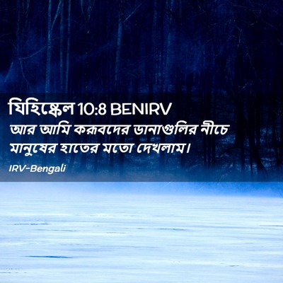 Picture 02 - যিহিষ্কেল 10:8 BENIRV - আর আমি করূবদের - Bible Verse Picture