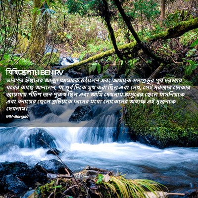 Picture 02 - যিহিষ্কেল 11:1 BENIRV - তারপর ঈশ্বরের - Bible Verse Picture
