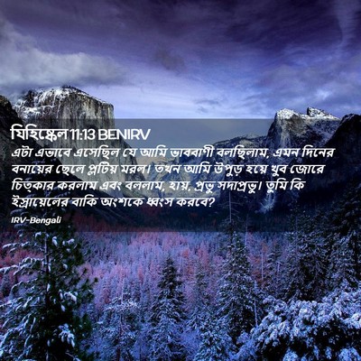Picture 02 - যিহিষ্কেল 11:13 BENIRV - এটা এভাবে এসেছিল - Bible Verse Picture