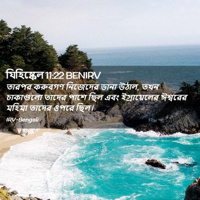 Picture 02 - যিহিষ্কেল 11:22 BENIRV - তারপর করুবগণ - Bible Verse Picture