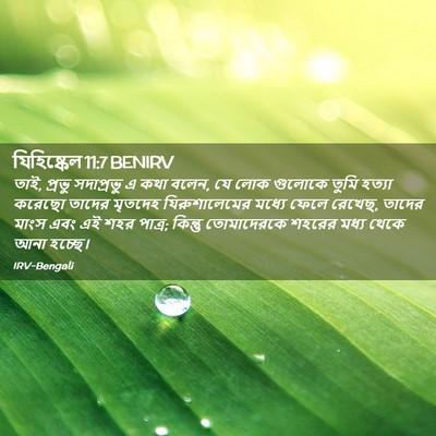 Picture 02 - যিহিষ্কেল 11:7 BENIRV - তাই, প্রভু - Bible Verse Picture