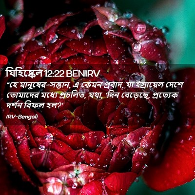 Picture 02 - যিহিষ্কেল 12:22 BENIRV - “হে - Bible Verse Picture