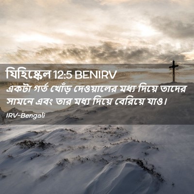 Picture 02 - যিহিষ্কেল 12:5 BENIRV - একটা গর্ত খোঁড় - Bible Verse Picture