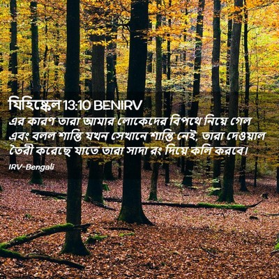 Picture 02 - যিহিষ্কেল 13:10 BENIRV - এর কারণ তারা আমার - Bible Verse Picture