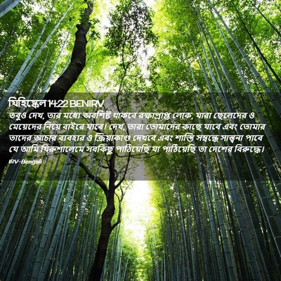 Picture 02 - যিহিষ্কেল 14:22 BENIRV - তবুও দেখ, তার মধ্যে - Bible Verse Picture