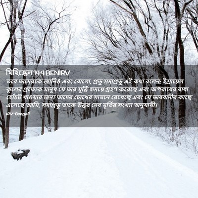 Picture 02 - যিহিষ্কেল 14:4 BENIRV - তবে তাদেরকে জানিও - Bible Verse Picture