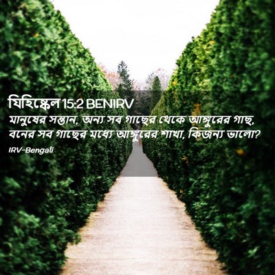 Picture 02 - যিহিষ্কেল 15:2 BENIRV - মানুষের সন্তান, - Bible Verse Picture