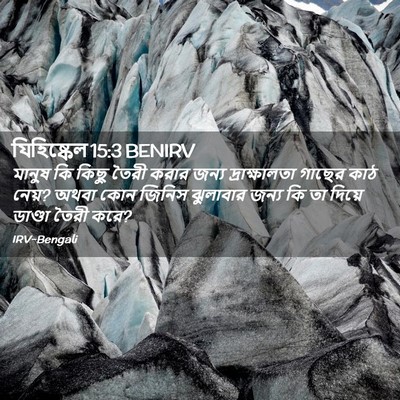 Picture 02 - যিহিষ্কেল 15:3 BENIRV - মানুষ কি কিছু তৈরী - Bible Verse Picture