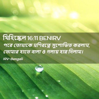 Picture 02 - যিহিষ্কেল 16:11 BENIRV - পরে তোমাকে - Bible Verse Picture