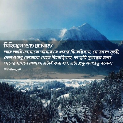 Picture 02 - যিহিষ্কেল 16:19 BENIRV - আর আমি তোমাকে আমার - Bible Verse Picture