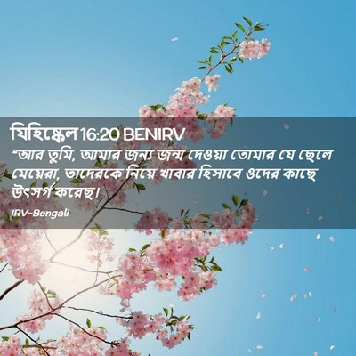 Picture 02 - যিহিষ্কেল 16:20 BENIRV - “আর তুমি, আমার জন্য - Bible Verse Picture