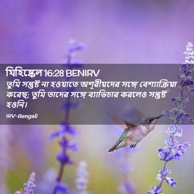 Picture 02 - যিহিষ্কেল 16:28 BENIRV - তুমি সন্তুষ্ট না - Bible Verse Picture
