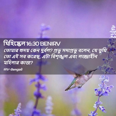 Picture 02 - যিহিষ্কেল 16:30 BENIRV - তোমার হৃদয় কেন - Bible Verse Picture