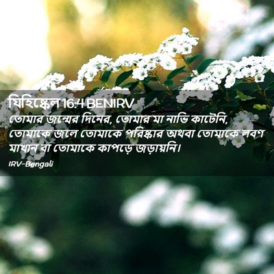 Picture 02 - যিহিষ্কেল 16:4 BENIRV - তোমার জন্মের - Bible Verse Picture