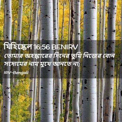Picture 02 - যিহিষ্কেল 16:56 BENIRV - তোমার অহঙ্কারের - Bible Verse Picture