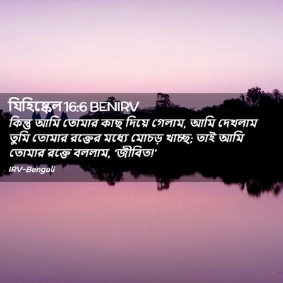 Picture 02 - যিহিষ্কেল 16:6 BENIRV - কিন্তু আমি তোমার - Bible Verse Picture