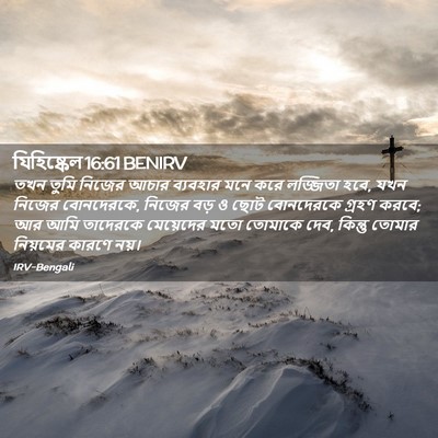 Picture 02 - যিহিষ্কেল 16:61 BENIRV - তখন তুমি নিজের - Bible Verse Picture