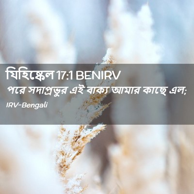 Picture 02 - যিহিষ্কেল 17:1 BENIRV - পরে সদাপ্রভুর এই - Bible Verse Picture