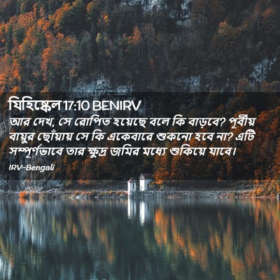 Picture 02 - যিহিষ্কেল 17:10 BENIRV - আর দেখ, সে রোপিত - Bible Verse Picture