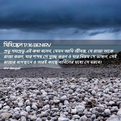 Picture 02 - যিহিষ্কেল 17:16 BENIRV - প্রভু সদাপ্রভু এই - Bible Verse Picture