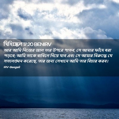 Picture 02 - যিহিষ্কেল 17:20 BENIRV - আর আমি নিজের জাল - Bible Verse Picture