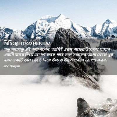 Picture 02 - যিহিষ্কেল 17:22 BENIRV - প্রভু সদাপ্রভু এই - Bible Verse Picture