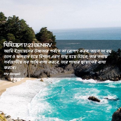 Picture 02 - যিহিষ্কেল 17:23 BENIRV - আমি ইস্রায়েলের - Bible Verse Picture