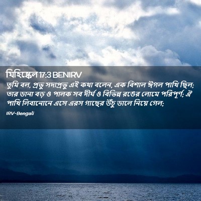 Picture 02 - যিহিষ্কেল 17:3 BENIRV - তুমি বল, প্রভু - Bible Verse Picture