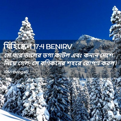 Picture 02 - যিহিষ্কেল 17:4 BENIRV - সে তার ডালের ডগা - Bible Verse Picture