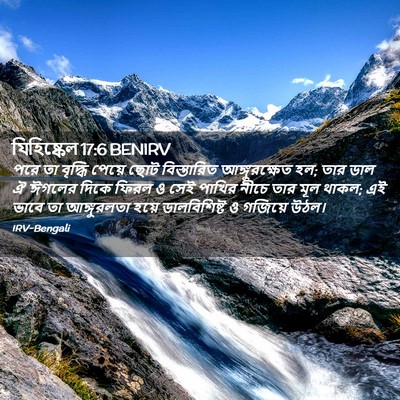 Picture 02 - যিহিষ্কেল 17:6 BENIRV - পরে তা বৃদ্ধি - Bible Verse Picture
