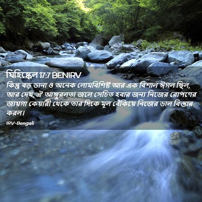 Picture 02 - যিহিষ্কেল 17:7 BENIRV - কিন্তু বড় ডানা ও - Bible Verse Picture