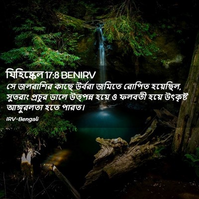 Picture 02 - যিহিষ্কেল 17:8 BENIRV - সে জলরাশির কাছে - Bible Verse Picture