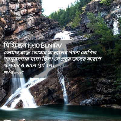 Picture 02 - যিহিষ্কেল 19:10 BENIRV - তোমার রক্তে তোমার - Bible Verse Picture